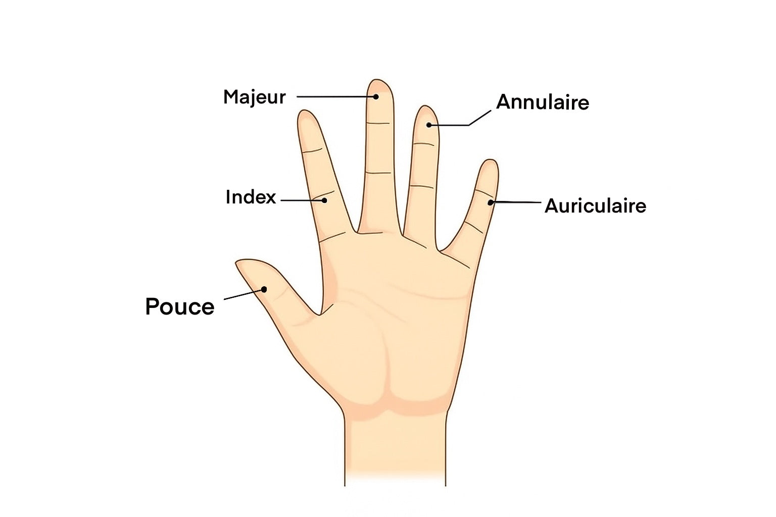 Nezuko - Stiletto/Amande long/ Amande court - FAUX ONGLE PressOnNail